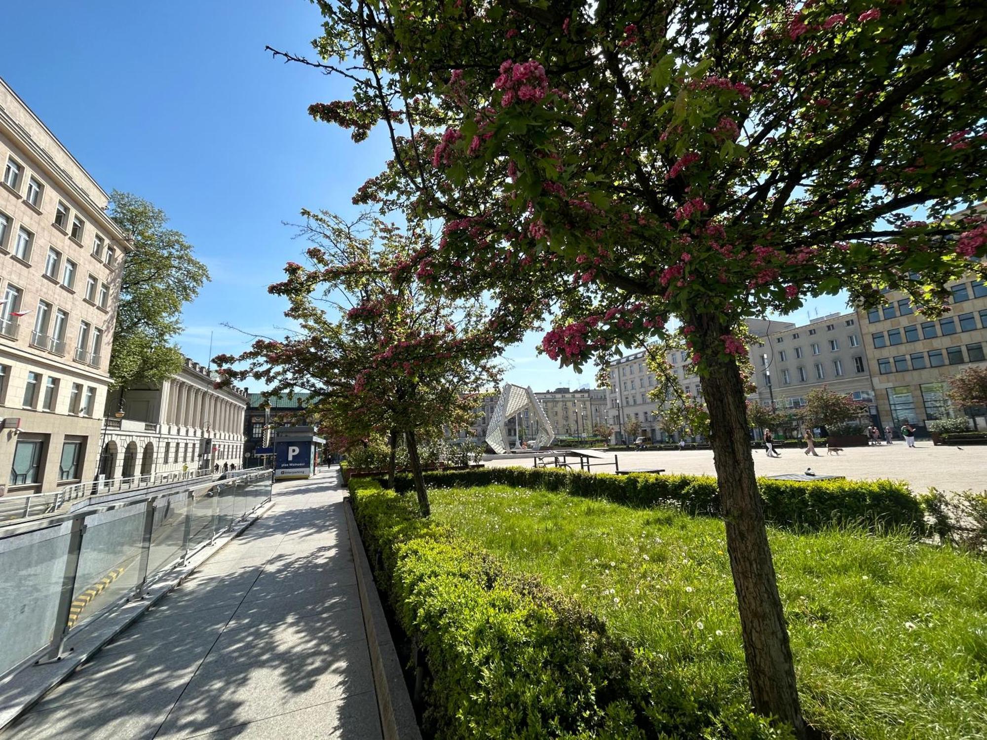 Apartamenty Pl. Wolnosci 6 Poznań Esterno foto